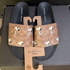 Coach X Peanuts Pool Slide NWT Men’s